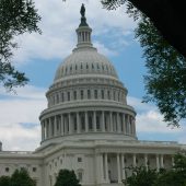 The US Capitol Washington DC